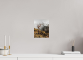 20 x 25 cm, Photo Print Under Acrylic Glass Dead Tree