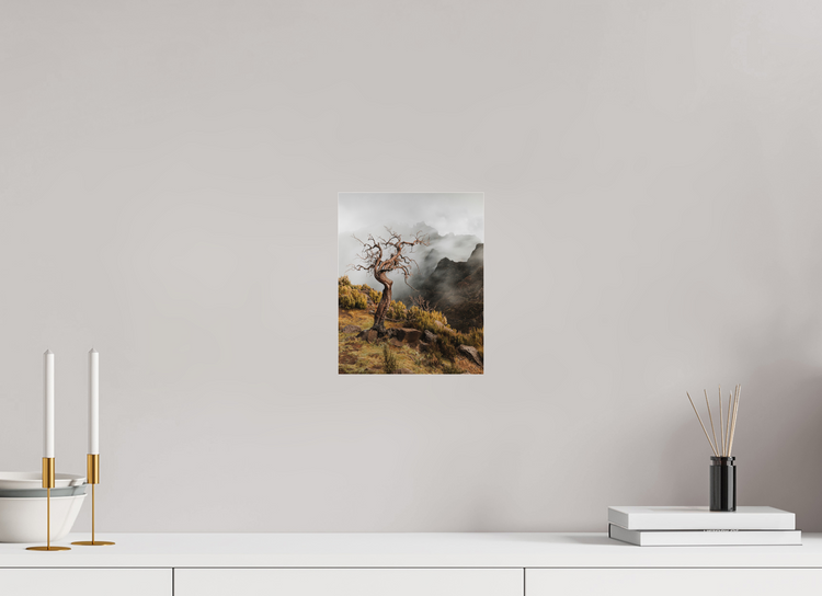 20 x 25 cm, Photo Print Under Acrylic Glass Dead Tree