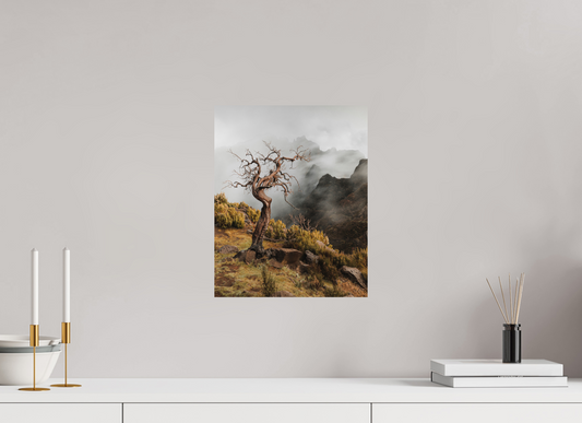 30 x 37.5 cm, Photo Print On Fuji Crystal DP II Dead Tree