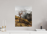40 x 50 cm, Photo Print Under Acrylic Glass Dead Tree