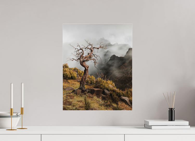 40 x 50 cm, Photo Print Under Acrylic Glass Dead Tree