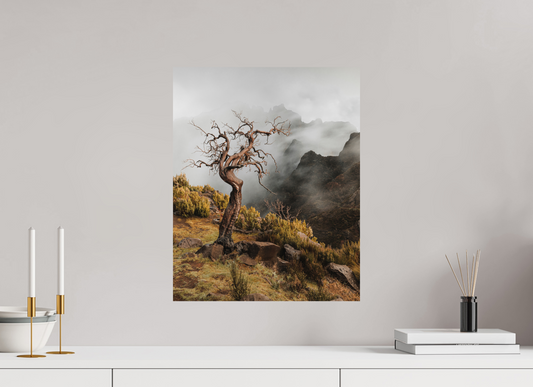 Dead Tree